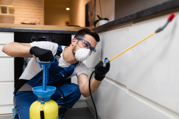 Best Bed Bug Extermination  in Rio, WI