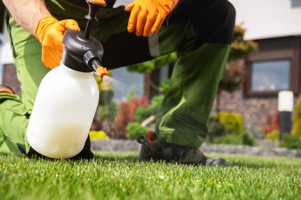 Reliable Rio, WI Pest Control Solutions