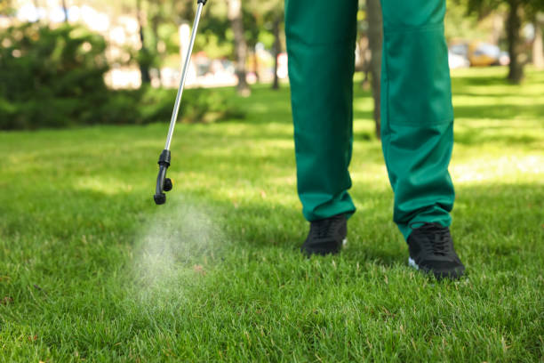 Best Pest Control Near Me  in Rio, WI