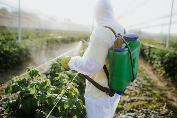 Insect Control in Rio, WI
